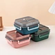 picnic plastic bento lunch box